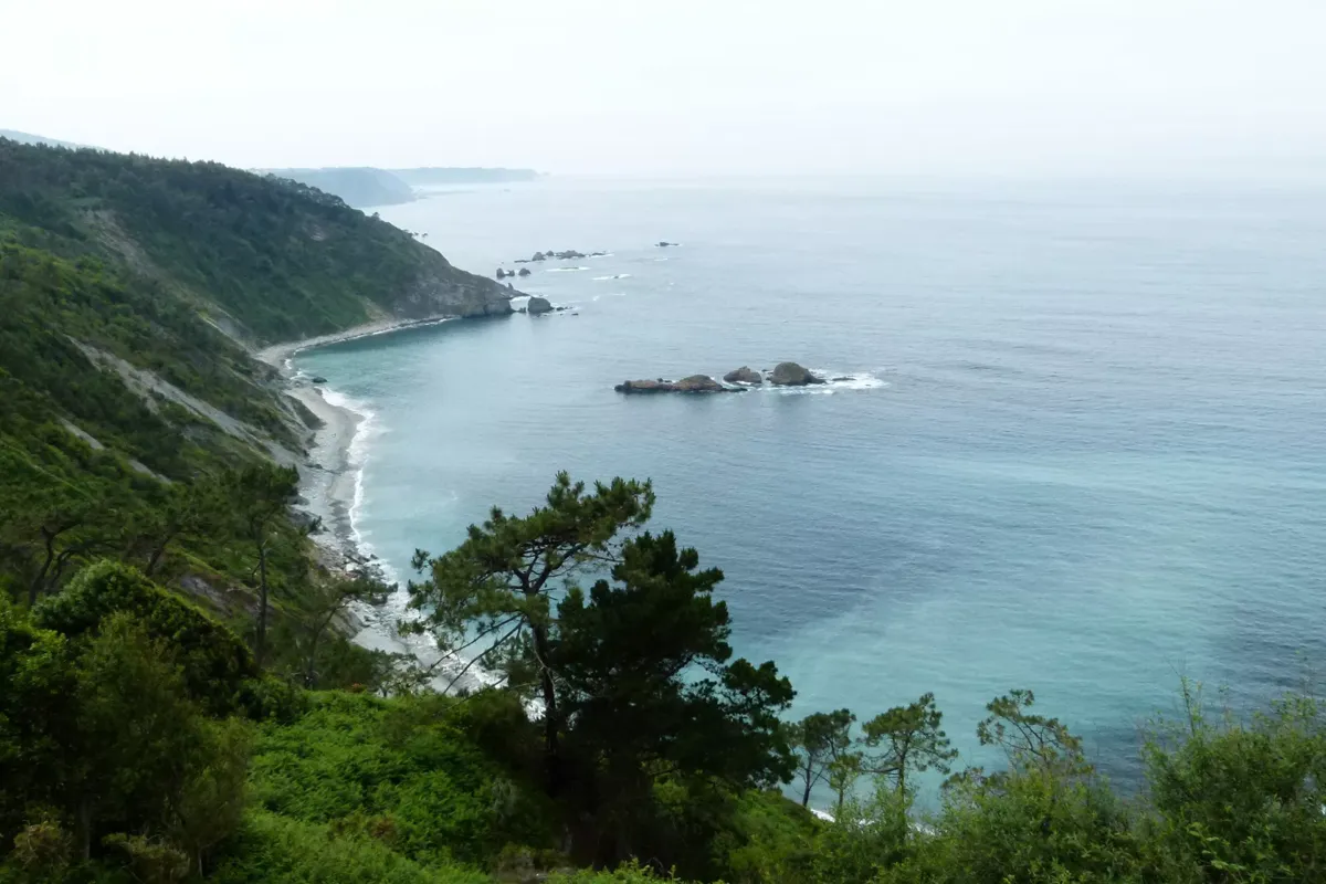 Paisaje de una playa con bosque detrás