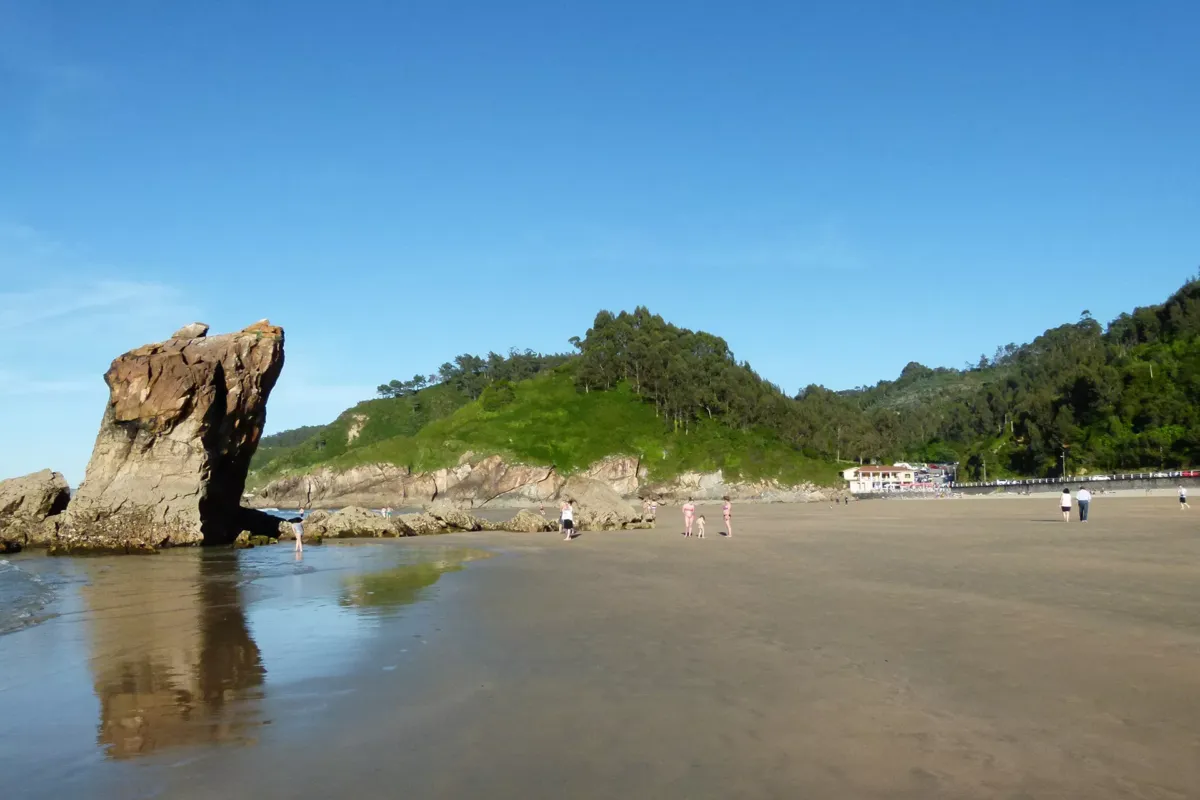 Playa con un bosque al fondo