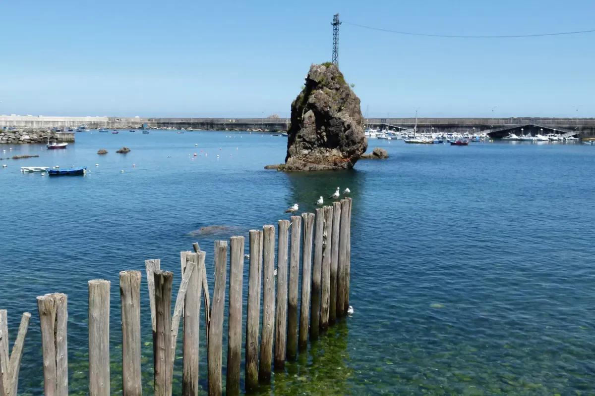 Roca, palos y mar