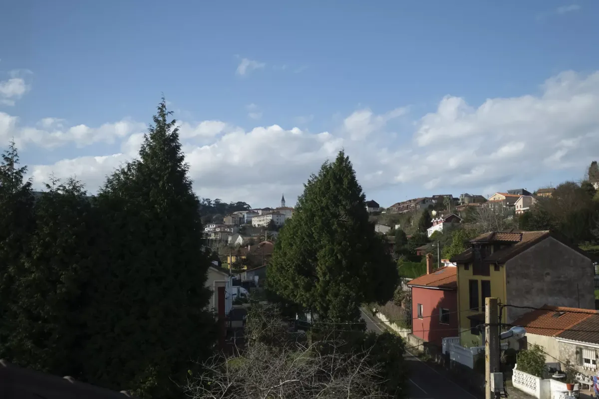 Árboles y casas